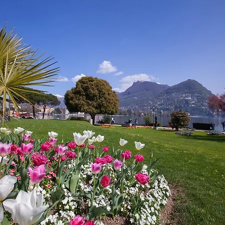 Apartment La Perla Del Ticino 10 *